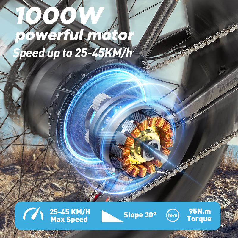 BURCHDA-RX20-26 inch snow e-bike 4.0 tires