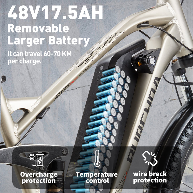 BURCHDA-RX10-27.5 inch soft tail mountain e-bike 2.8 tires