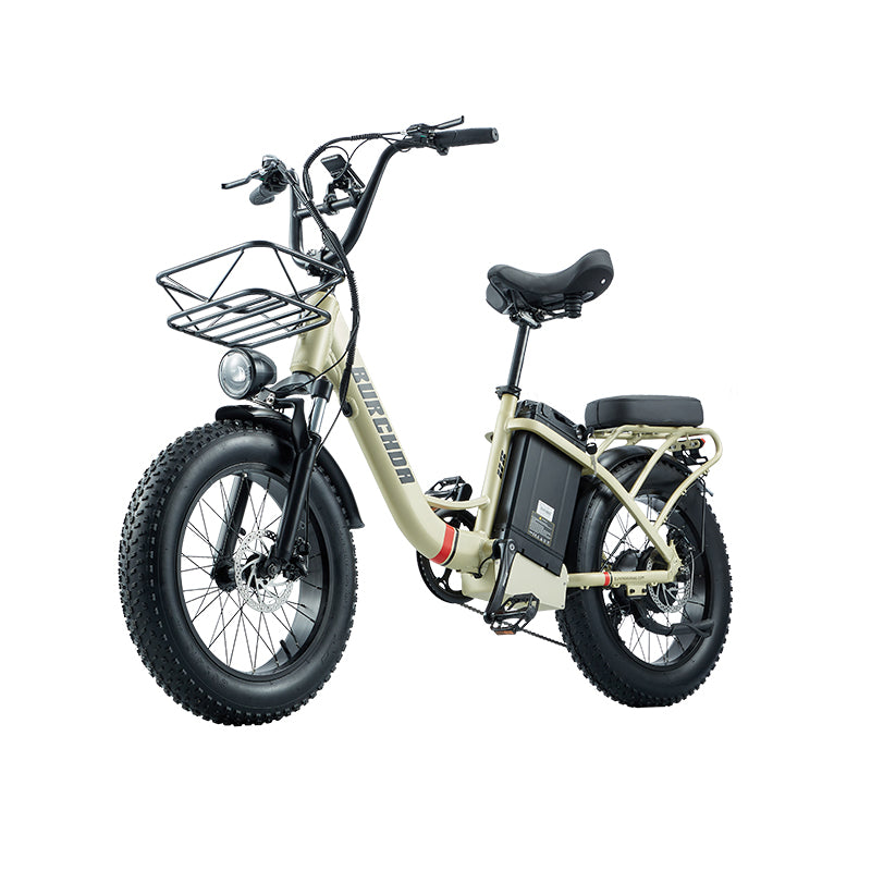 BURCHDA U8-20 Inch Snow Electric Bike